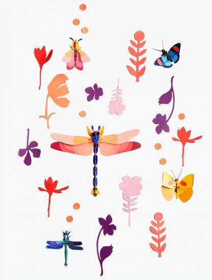 WALL OF CURIOSITIES - INSECT CONNOISSEUR