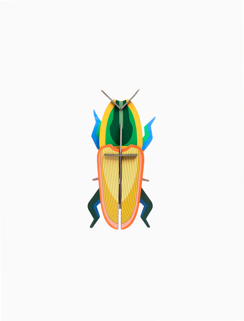 WALL DECOR - MADAGASCAR BEETLE