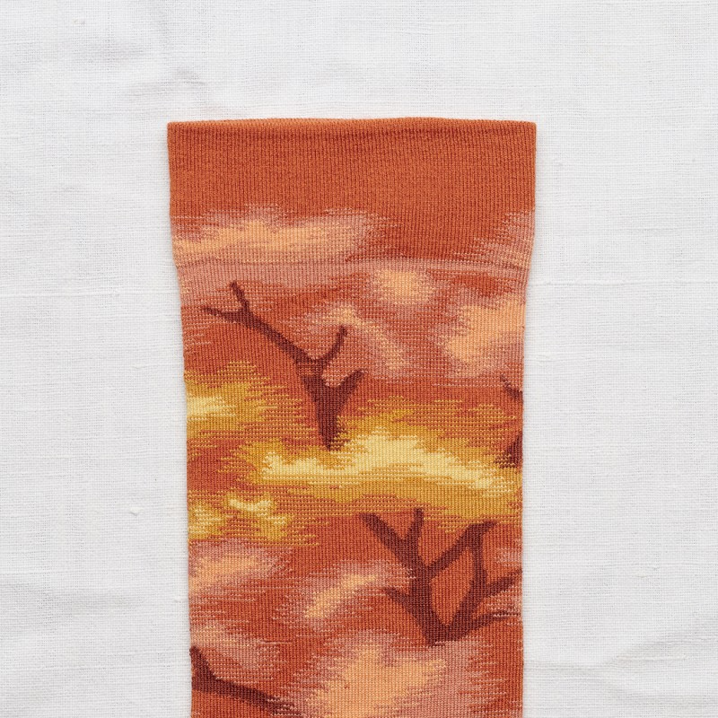 Bonne Maison Socks - L’Automne - Tree Pumpkin